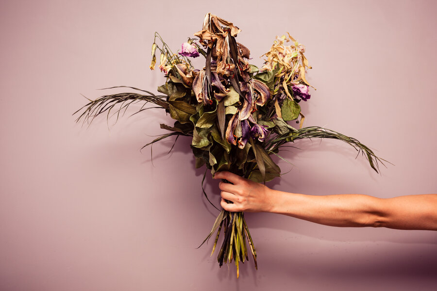 Facing the morning light x non-withering dried flower transparent