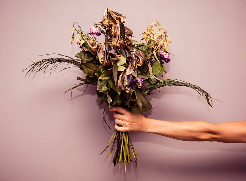 I Don T Buy Flowers And You Shouldn T Either Thrillist