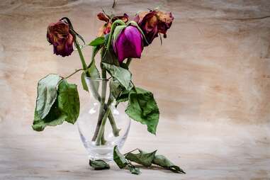 Dead flowers in a vase