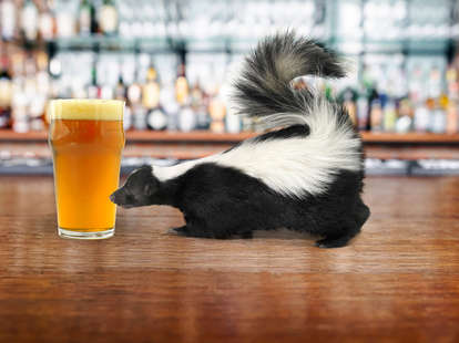 skunk and beer