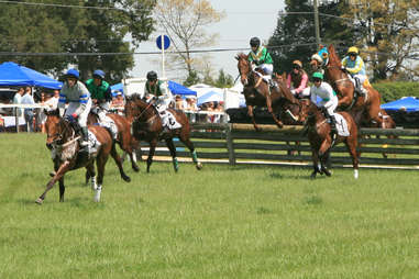 Foxfields Races