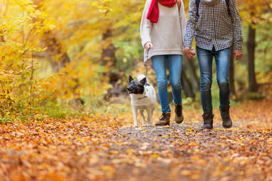 couple walking dog