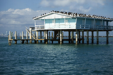 Stiltsville