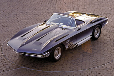 The Mako Shark