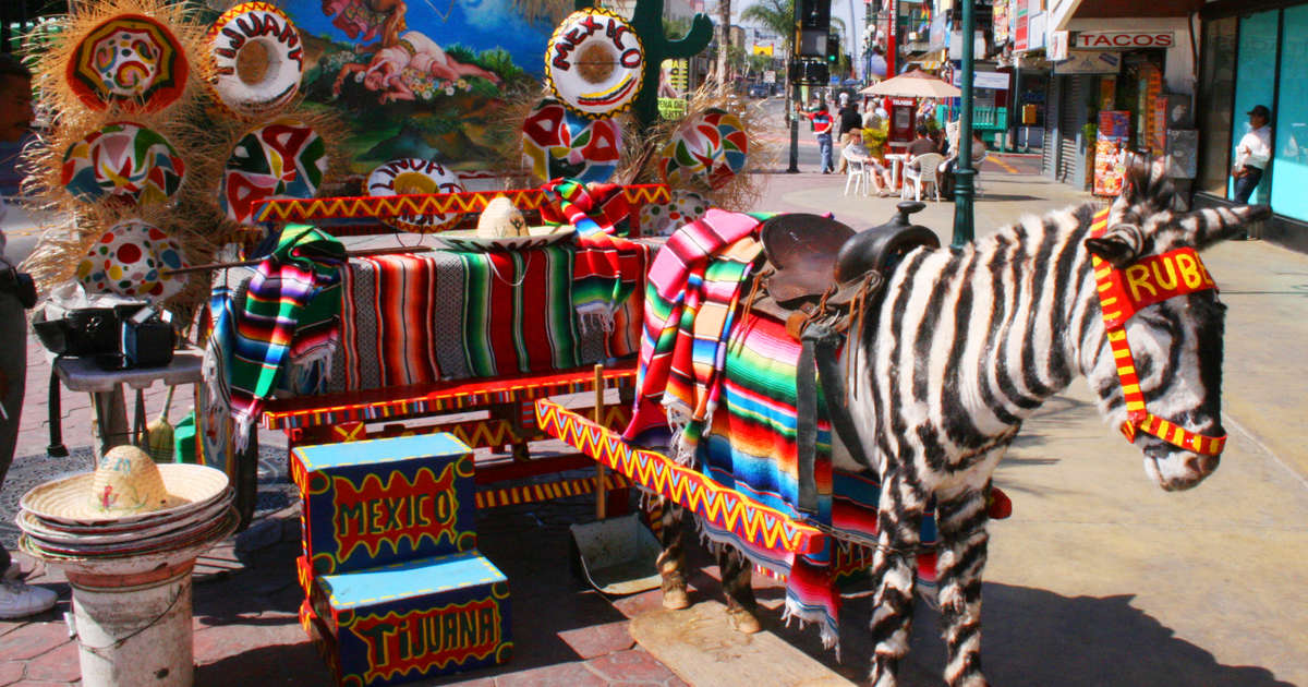 Things to Do in Tijuana, Mexico: What You Need to Know Before You Go