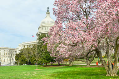 Washington DC