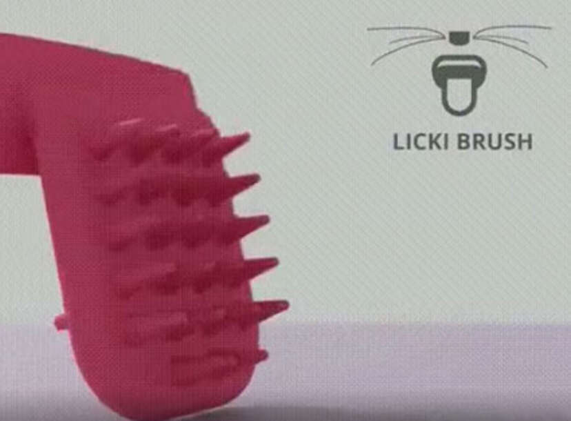 Licky brush best sale