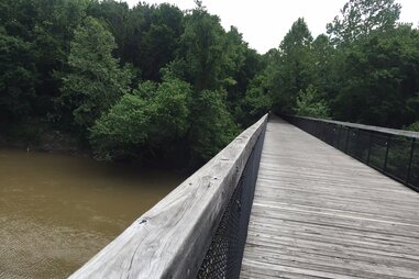 Wolf River in Memphis