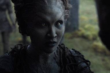 children of the forest