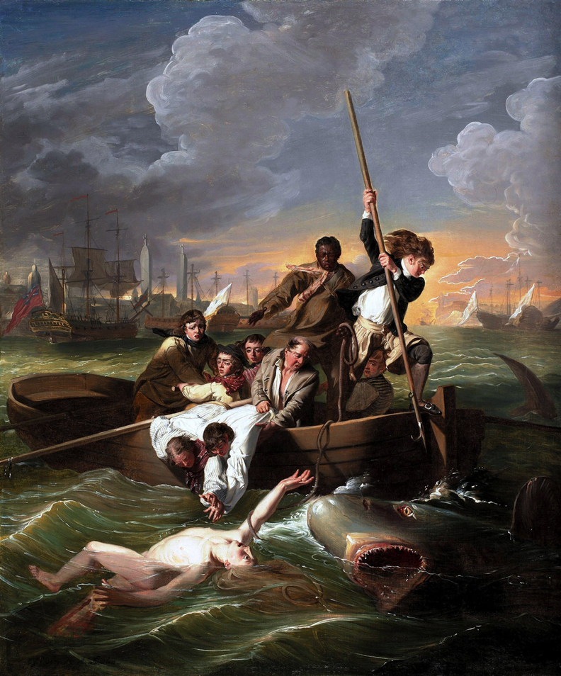 Watson and the Shark