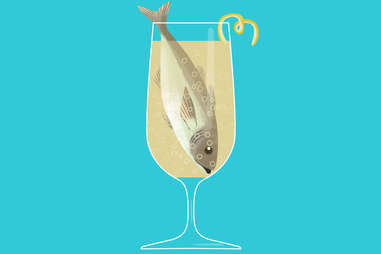 Pisces fish in a death in the afternoon champagne cocktail