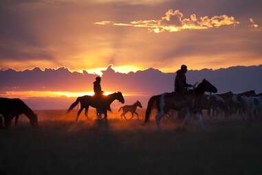 Horses Sunset National Geographic