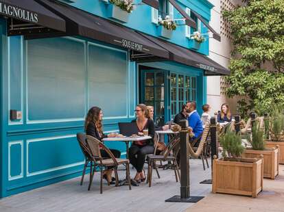 Magnolias Sous Le Pont