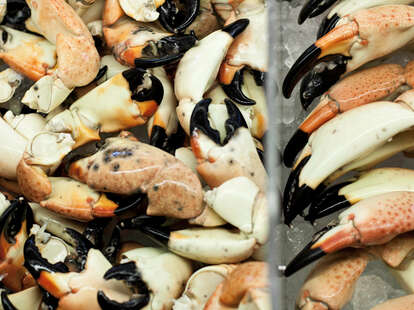 stone crab claws 