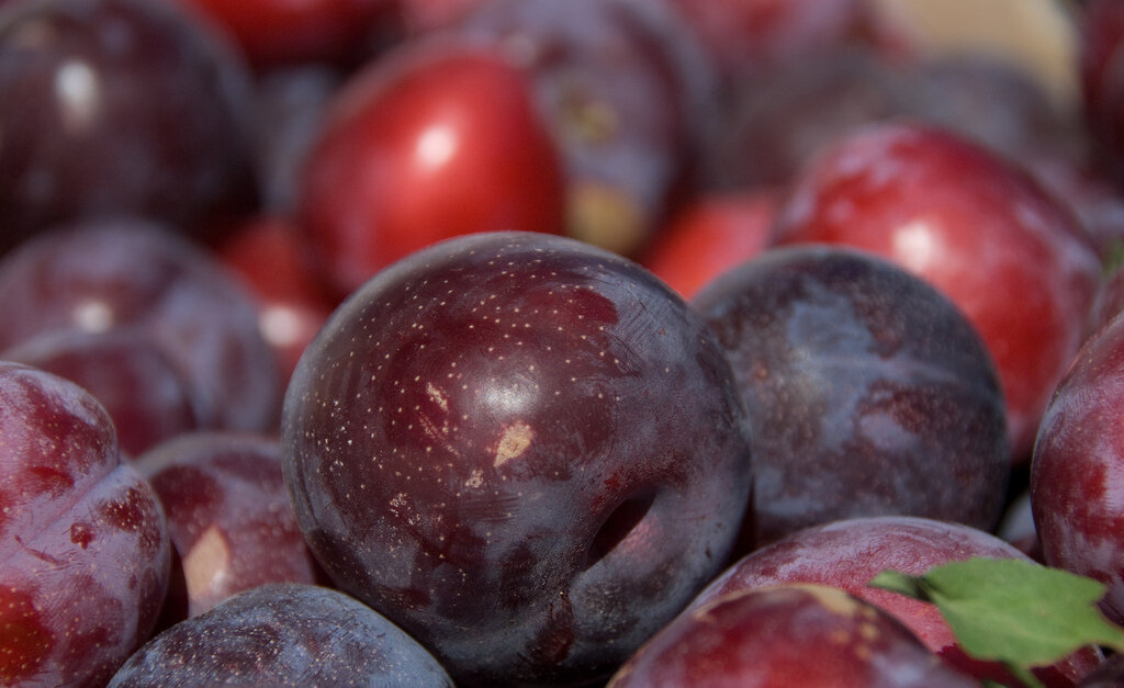 plums