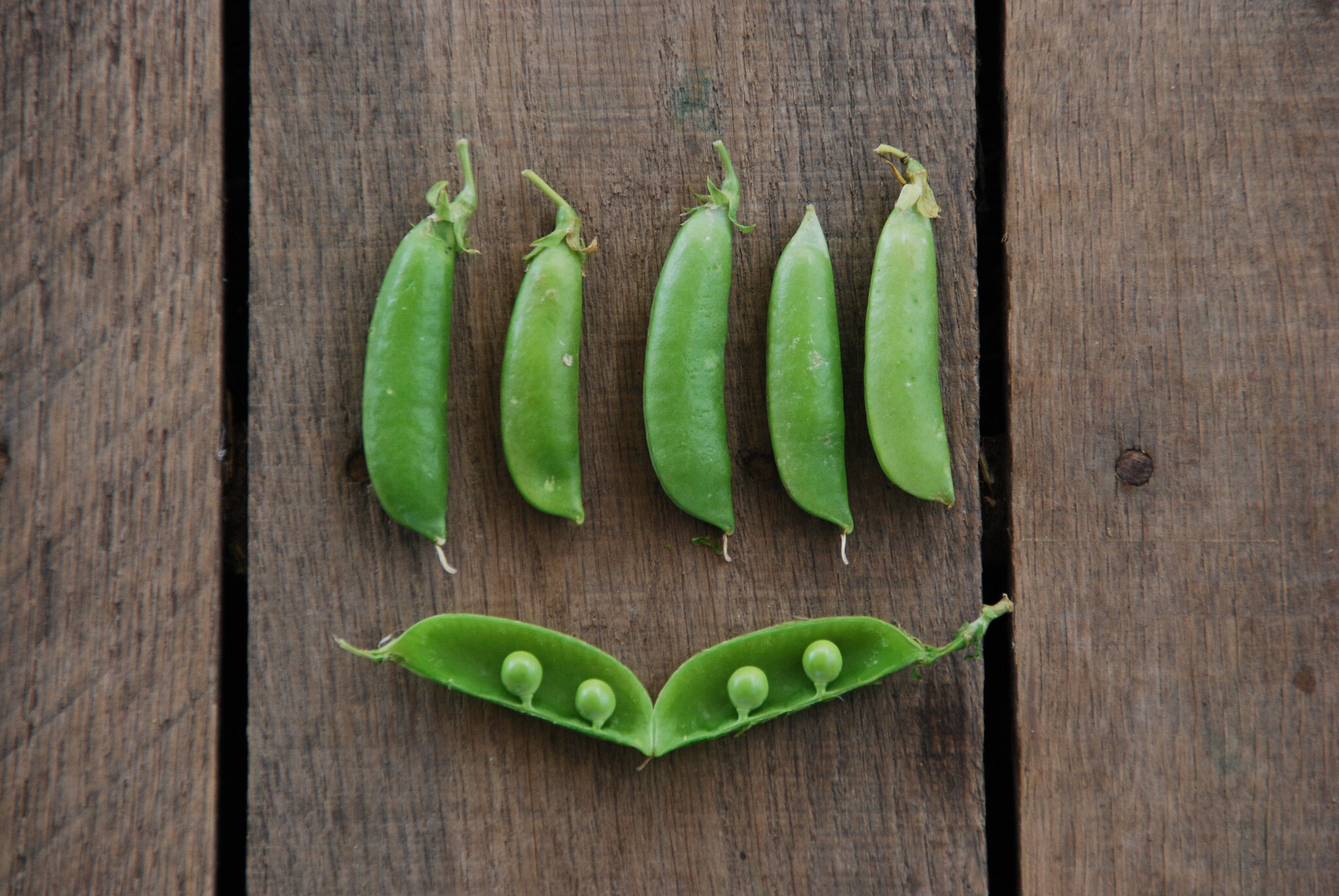 sugar snap peas