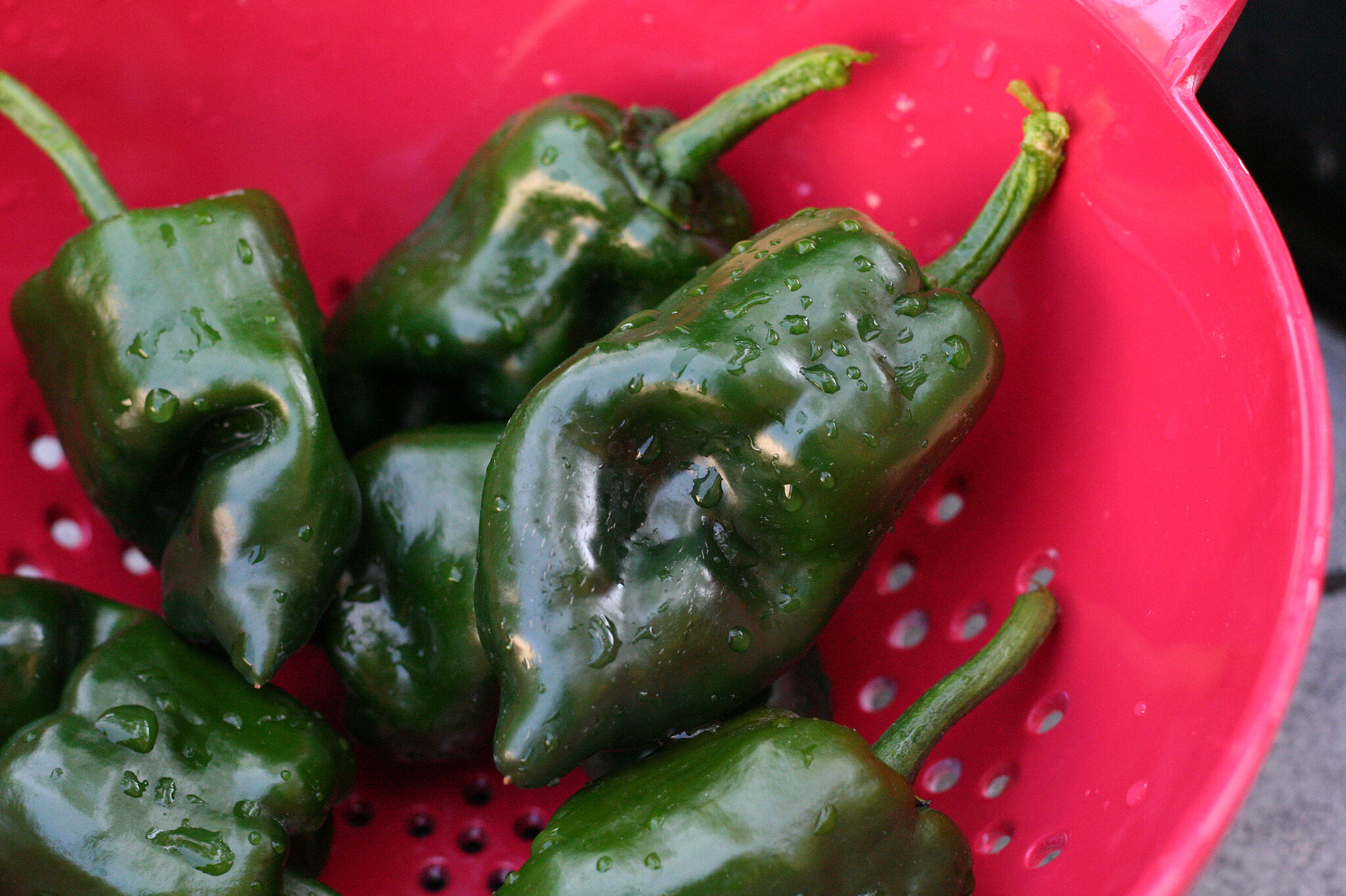 poblano peppers