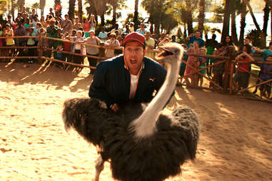 Blended, Adam Sandler