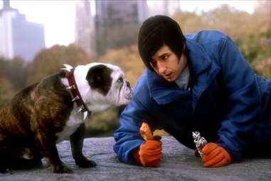 Little Nicky, Adam Sandler