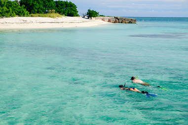 Snorkeling Dry Tortugas