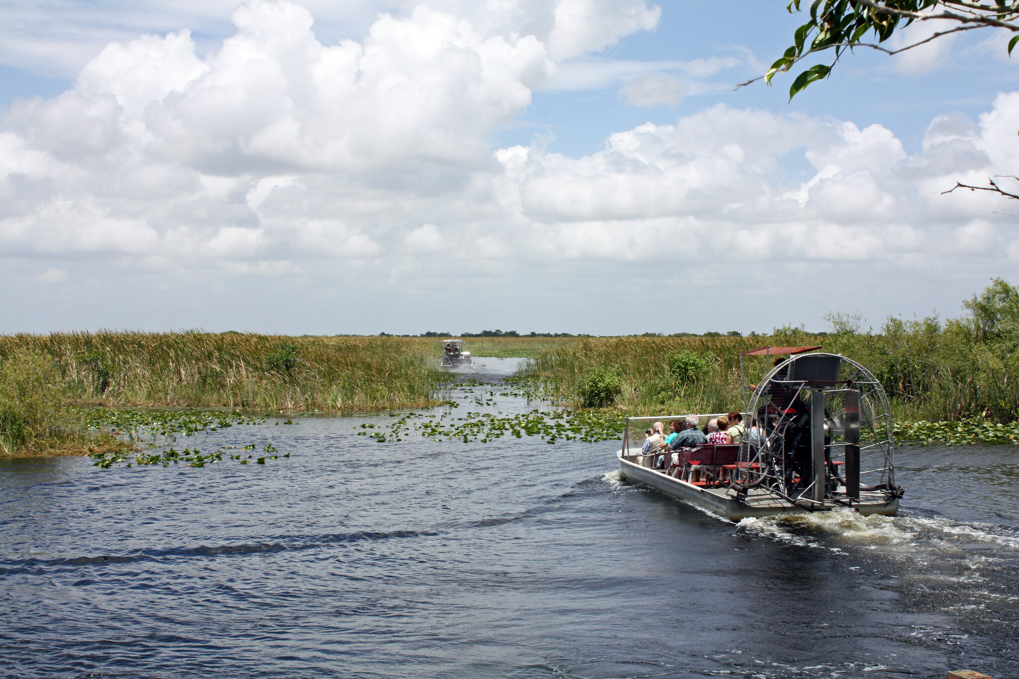 airboat ride in miami