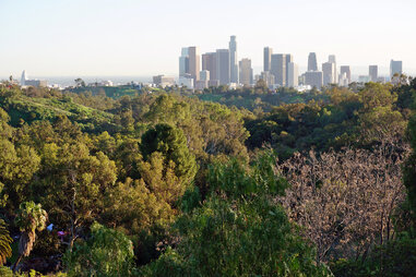 Elysian Park in L.A.