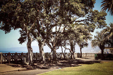 Palisades Park in L.A.