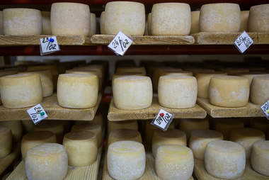 Semi Hard Cheeses