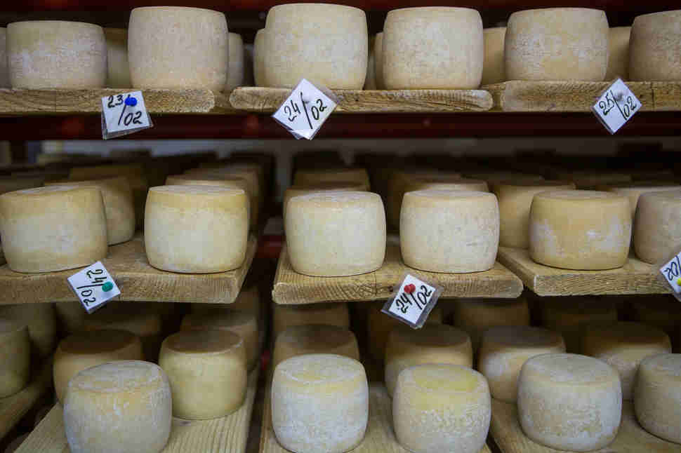 How Long Does Cheese Last in the Fridge? Cheese Expiration Dates