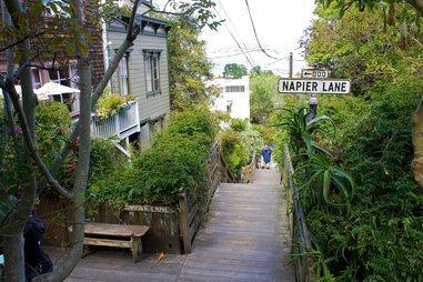 Napier Lane
