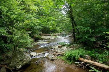 Whiteoak Canyon Falls