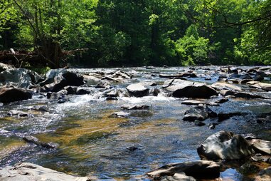 Gunpowder Falls