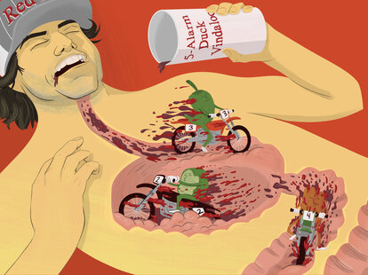 travis pastrana vindaloo