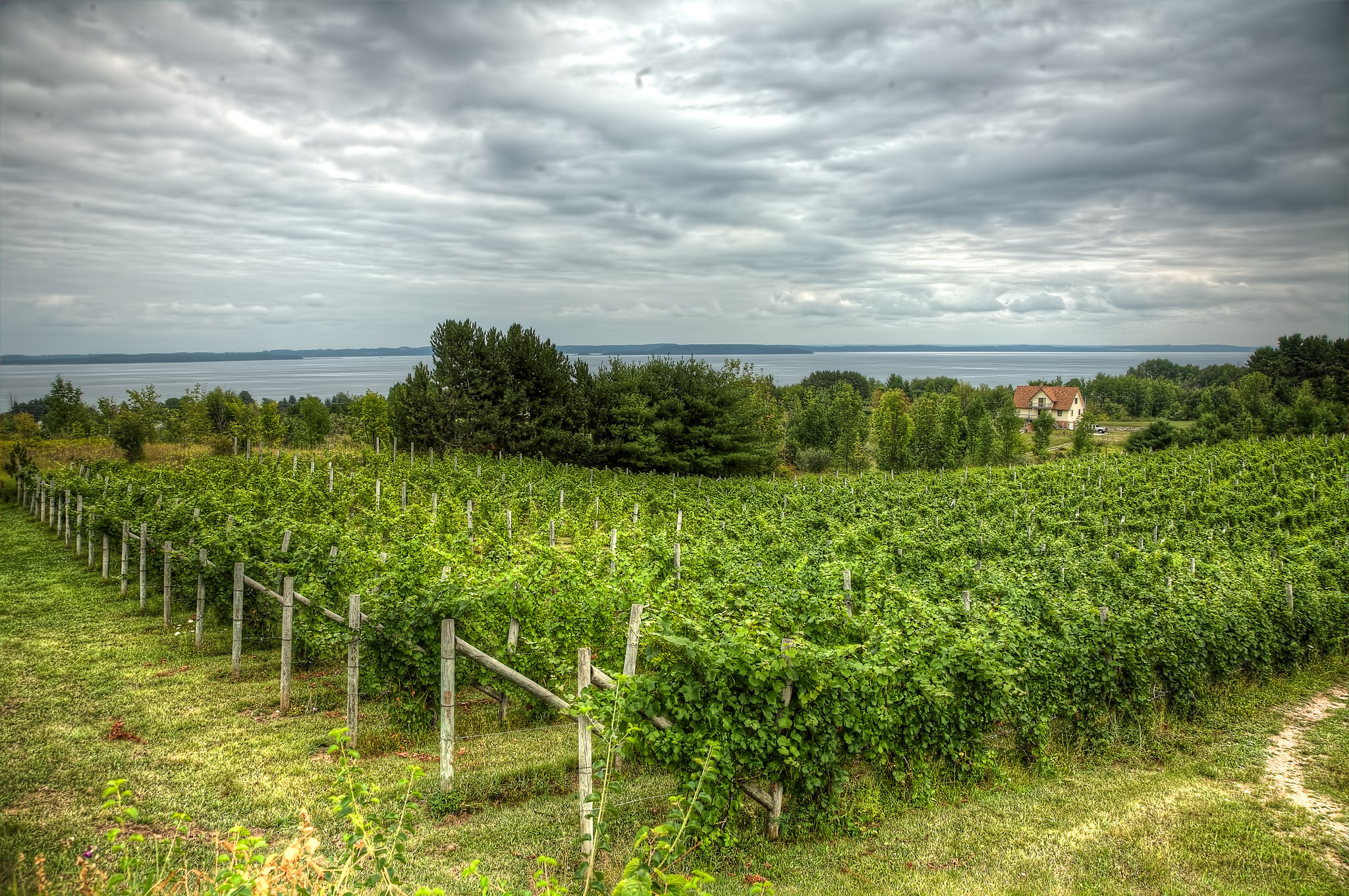 Wineries in Leelanau County in Northern Michigan
