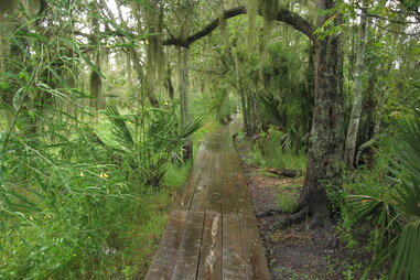Jean Lafitte National Historic Park and Preserve