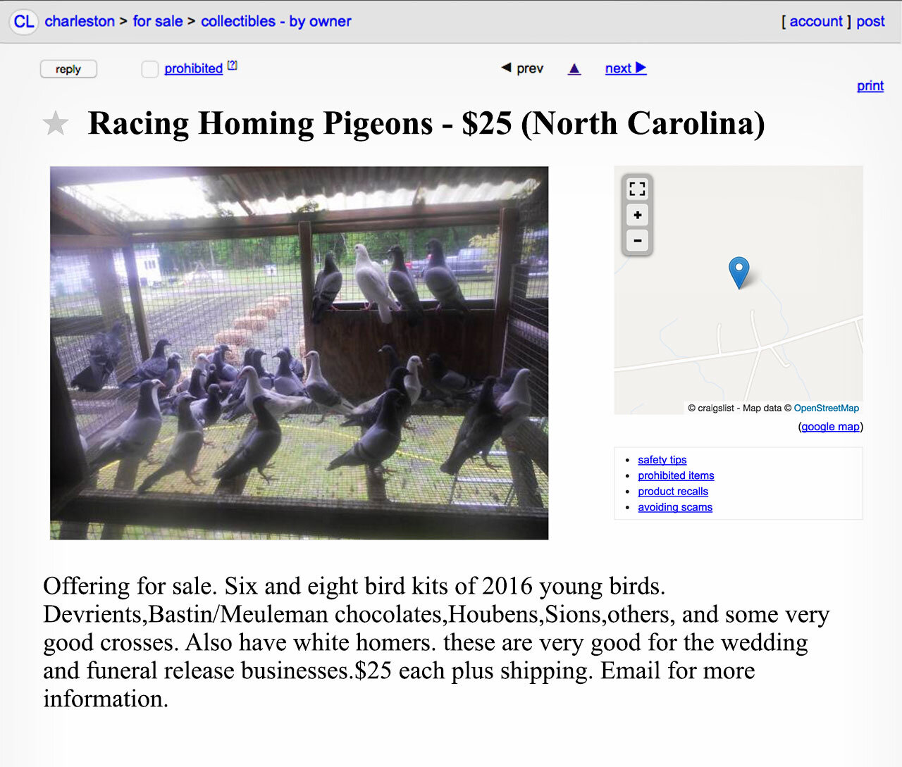 A Craigslist for racing pigeons.