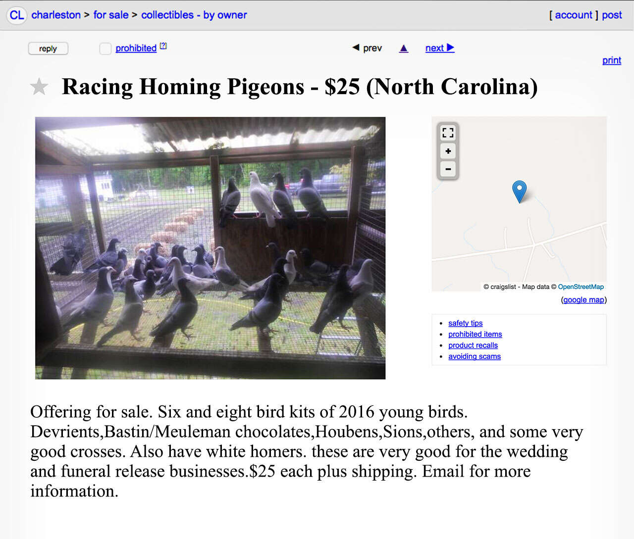 A Craigslist advertisement for racing pigeons. 