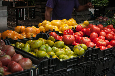Tomatoes at a farmer’s market