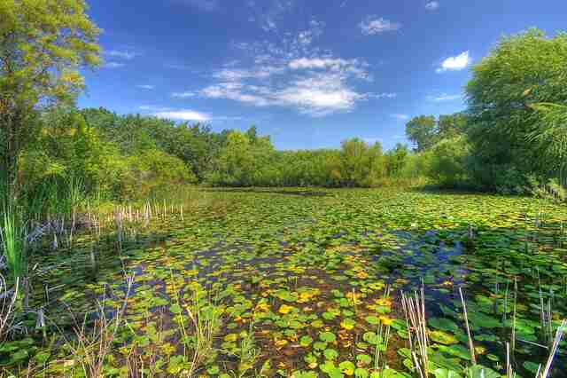 Hikes And Hiking Trails Near Chicago Well Be Hitting This Summer