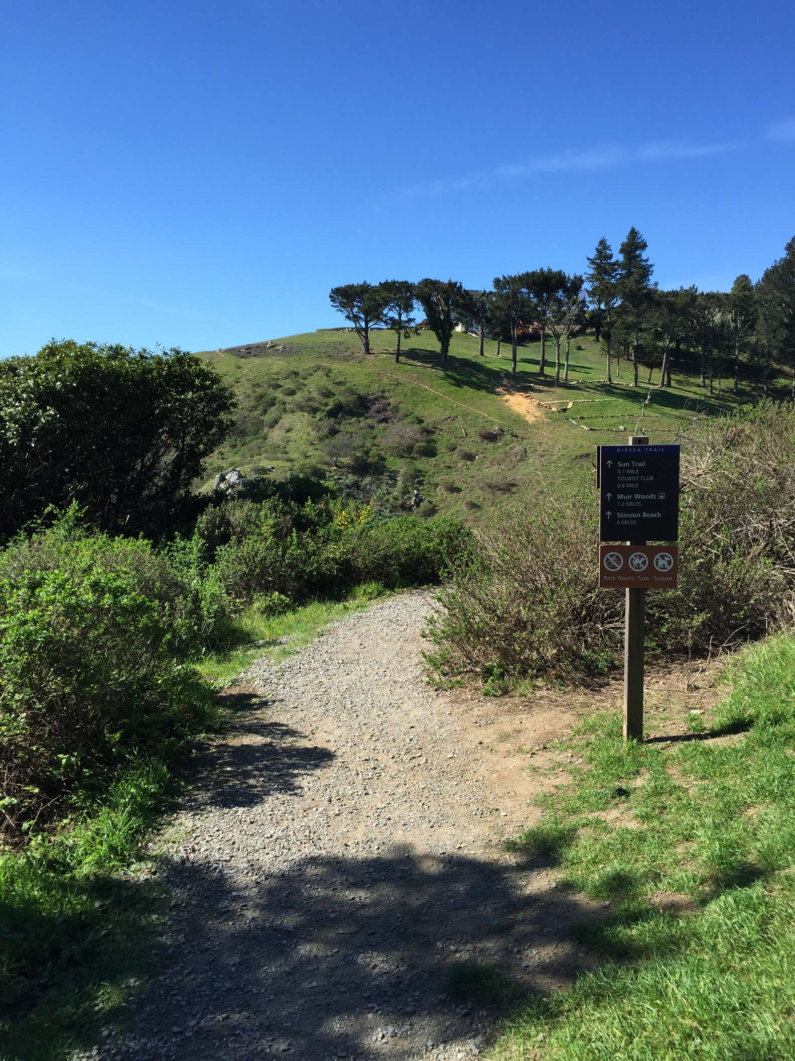 San Francisco Bay Area Hikes With Beautiful Views - Thrillist