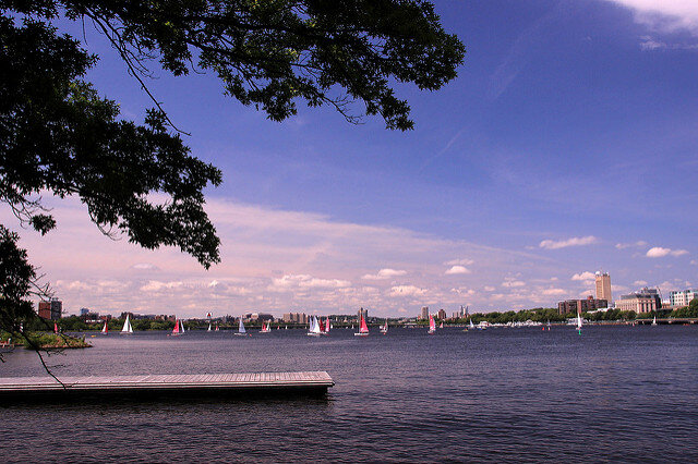 Charles River sailboats