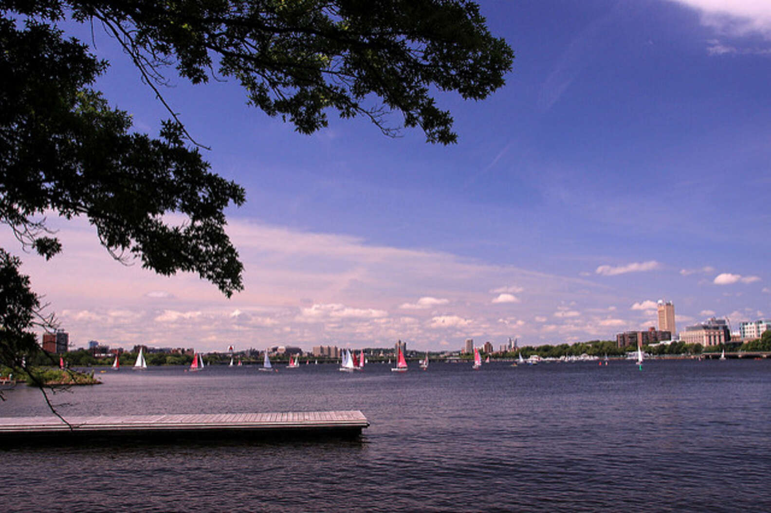 Boston Slang & Dialect Explained: Common Sayings in Beantown - Thrillist