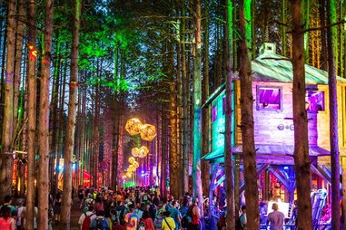 Electric Forest