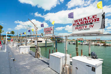 Islamorada, FL