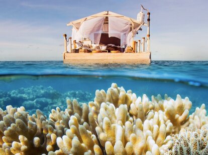 Airbnb great barrier reef finding dory