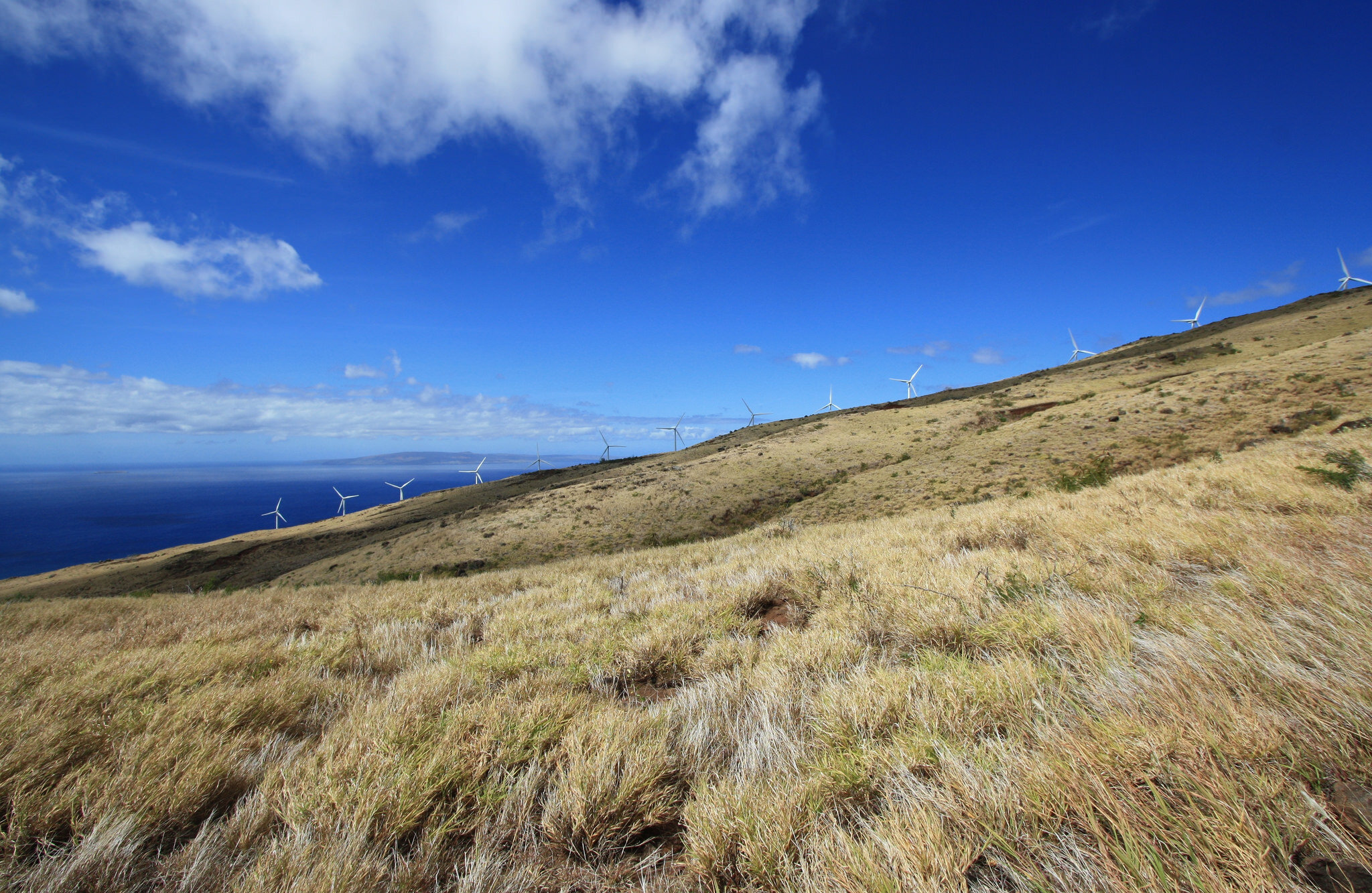 Kaheawa wind farm in Maui