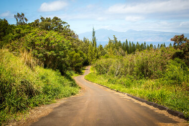Kapalua Trail in Maui