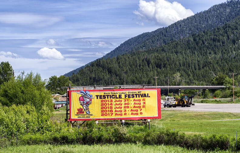 testsy festsy
