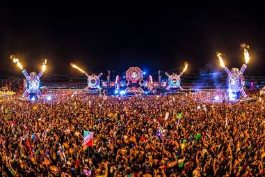 EDM Las Vegas: Facts About Electric Daisy Carnival in Sin City - Thrillist