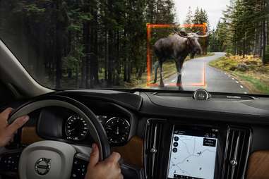 2017 Volvo S90 with Moose Detection System